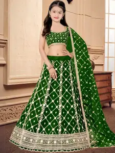 F Plus Fashion Multi Net Lehenga Choli