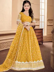 F Plus Fashion Black Net Lehenga Choli