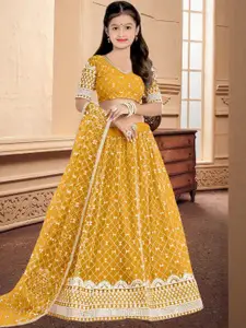 F Plus Fashion Black Net Lehenga Choli