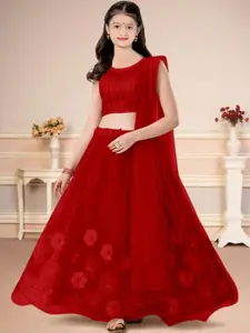 F Plus Fashion Multi Net Lehenga Choli