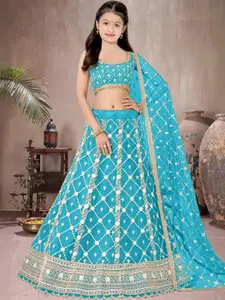 F Plus Fashion Black Net Lehenga Choli