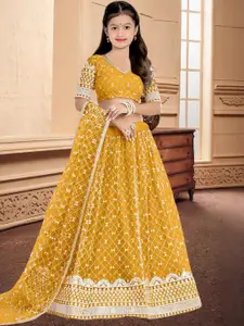 F Plus Fashion Black Net Lehenga Choli