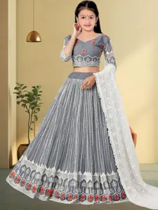 F Plus Fashion Silver Net Lehenga Choli