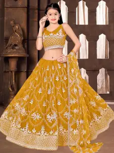 F Plus Fashion Pink Net Lehenga Choli