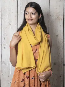 Contrast Living Pure Cotton Scarf