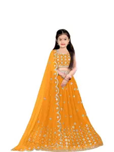 F Plus Fashion Multi Net Lehenga Choli