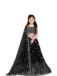 F Plus Fashion Multi Net Lehenga Choli