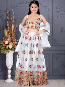 F Plus Fashion Multi Net Lehenga Choli