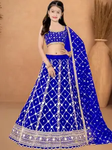 F Plus Fashion Multi Net Lehenga Choli