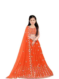 F Plus Fashion Multi Net Lehenga Choli