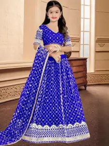 F Plus Fashion Multi Net Lehenga Choli
