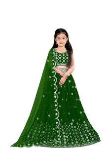 F Plus Fashion Multi Net Lehenga Choli