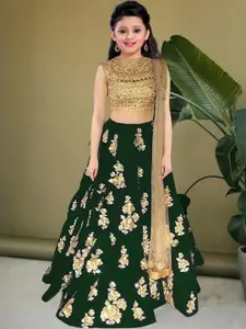 F Plus Fashion Multi Net Lehenga Choli