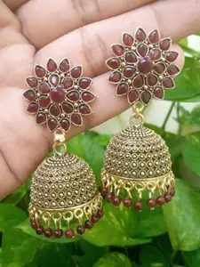 Dev Fashion Contemporary Jhumkas Earrings