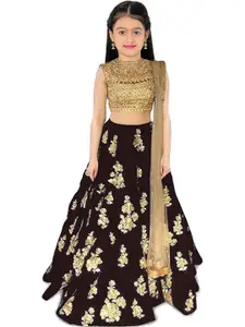 F Plus Fashion Girls Semi-Stitched Lehenga & Unstitched Blouse Velvet
