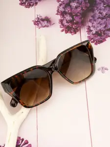 DressBerry Women Brown Wayfarer Sunglasses with Brown UV Protected Gradient Lens DB-D96-C2