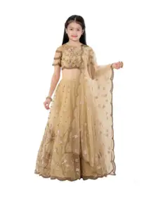F Plus Fashion Girls Embroidered Semi-Stitched Lehenga & Unstitched Blouse With Dupatta