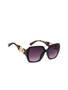 Vincent Chase Women Purple Lens & Black Oversized Sunglasses with