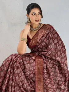 Rekha Maniyar Printed Woven Design Zari Saree