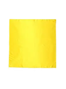 QUECY Solid Satin Scarf