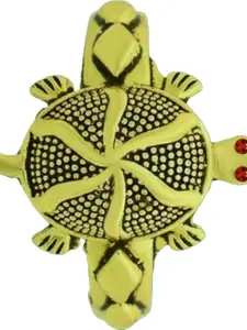 Dynamic Retail Global Men Green Ring