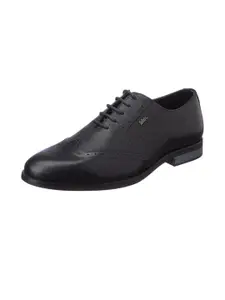 Lee Cooper Men Black Formal Shoes