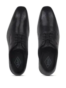Lee Cooper Men Black Formal Shoes