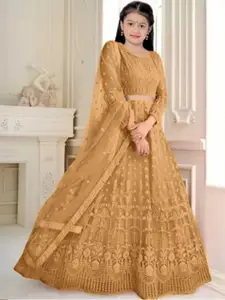 F Plus Fashion Girls Black Net Semi-Stitched Lehenga Choli