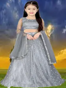 F Plus Fashion Girls Grey Net Semi-Stitched Lehenga Choli