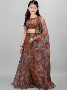 F Plus Fashion Net Semi-Stitched Lehenga Choli