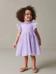 INCLUD Girls Embellished Embroidered Flutter Sleeve Fit & Flare Dress