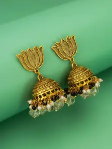 Anouk Gold-Plated Pearls Beaded Dome Shaped Jhumkas