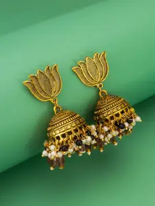 Anouk Gold-Plated Pearls Beaded Dome Shaped Jhumkas