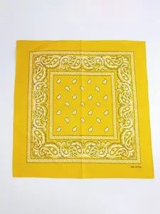 QUECY Paisley Printed Silk Scarf