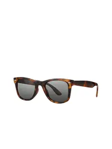 Daniel Klein Women UV Protected Lens Oversized Sunglasses DK3271-C3