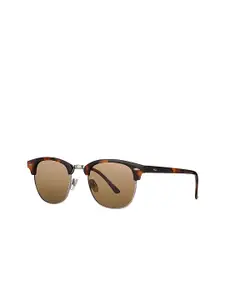 Daniel Klein Women Brown Lens & Oversized Sunglasses with UV Protected Lens