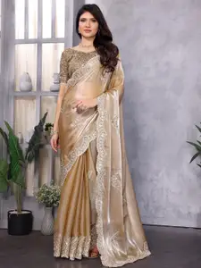 elora Embellished Embroidered Sequinned  Saree