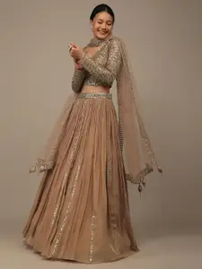 DIVASTRI Embroidered Sequinned Georgette Semi-Stitched Lehenga & Blouse With Dupatta