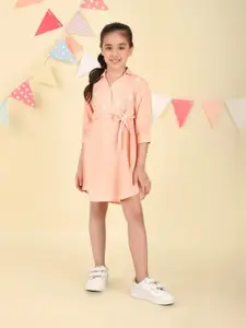 Fabindia Embroidered A-Line Dress