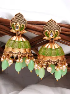 Anouk Contemporary Jhumkas Earrings