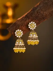 Anvik Contemporary Jhumkas Earrings