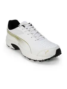 Puma Cricket Power 2.0 Men's Cricket Shoes