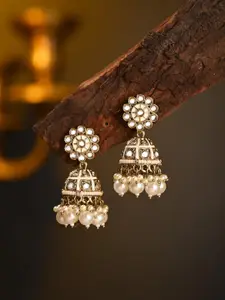 Anvik Contemporary Jhumkas Earrings