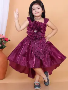 PN Fashion Self Design Net Cap Sleeves Fit & Flare Dress