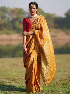 Chidiyaa Rang Barse Krishvi Blockprinted Dola Silk Saree