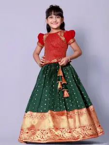 BAESD Girls Embroidered Thread Work Ready To Wear Jacquard Lehenga & Choli