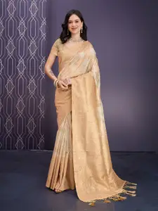 Rekha Maniyar Woven Design Aari Work Saree