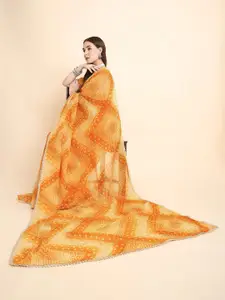 RATAN Tie and Dye Tissue Saree