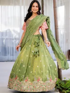 HOUSE OF JAMOTI Embellished Sequinned Ready to Wear Lehenga & Blouse With Dupatta