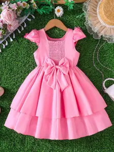 INCLUD Girls Smocked Floral Applique Knee Length Fit & Flare Dress